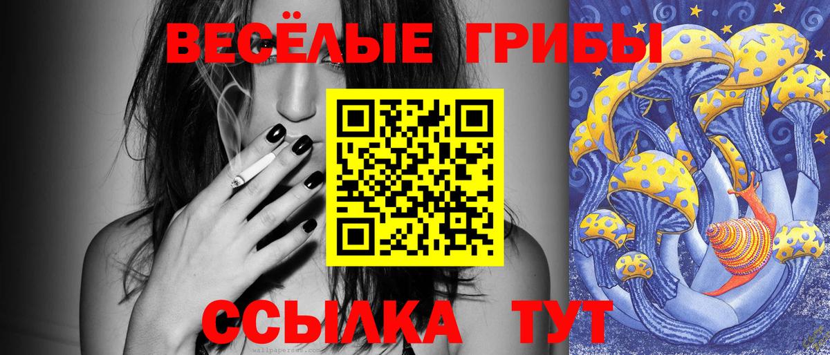 Красный Сулин  где найти наркотики  Вход с VPN  Галлюциногенные грибы прущие грибы 