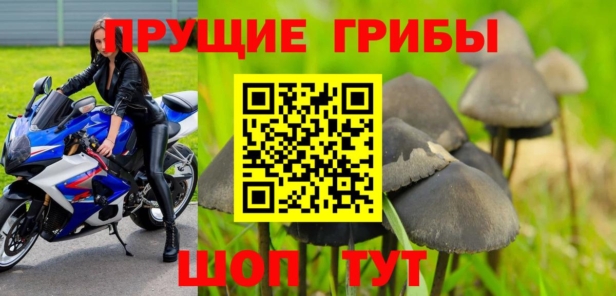 Псилоцибиновые грибы мухоморы Красный Сулин